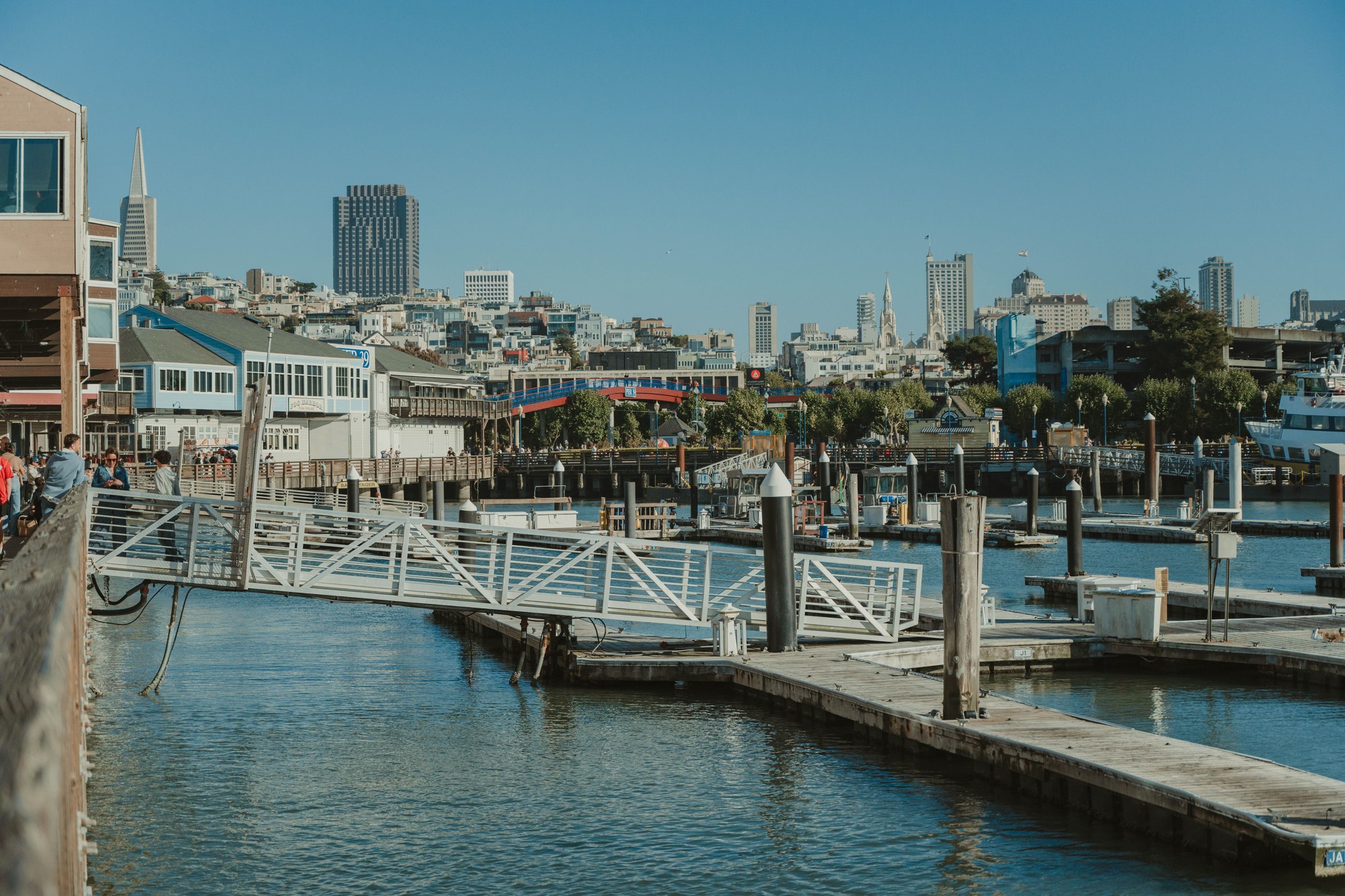 Sauna Builder in Marina District, CA